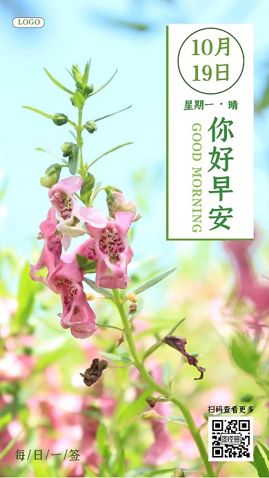小清新唯美早安海报日签