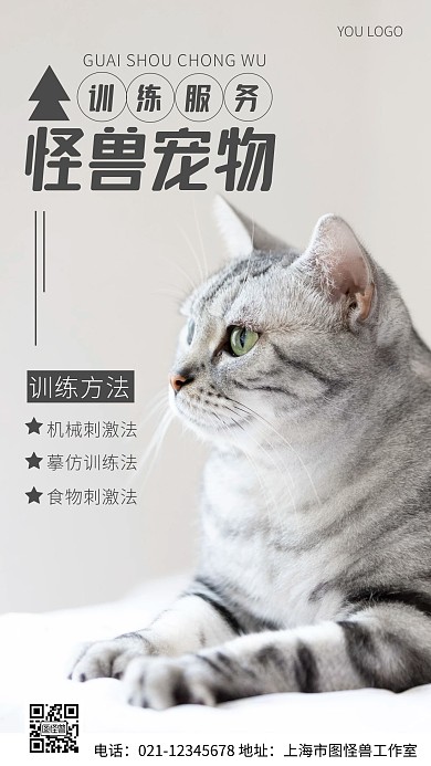 宠物训练服务灰色简约风摄影图海报