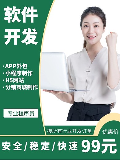 绿色风格程序软件开发商品主图
