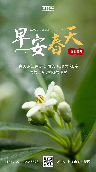 早安春天摄影简约绿色日签