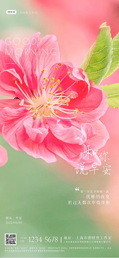 清新摄影花朵早安春天问候早安全屏海报
