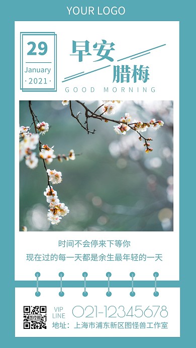 早安海报腊梅宣传推广日签