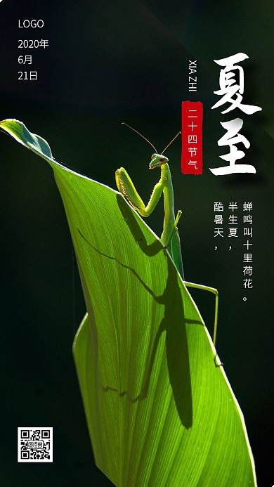 夏至传统节气问候日签