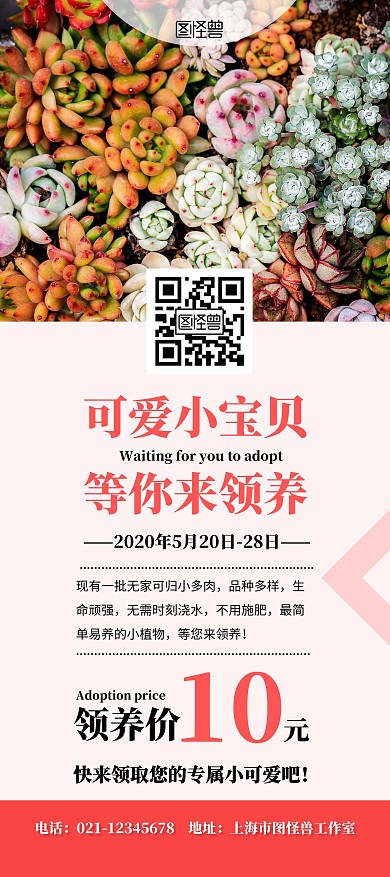 最新款盆栽多肉10元任选促销优惠展架 	