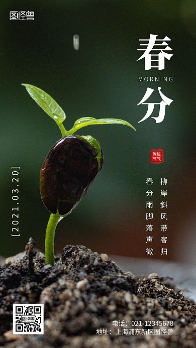 简约风摄影图3月春分节气早安日签