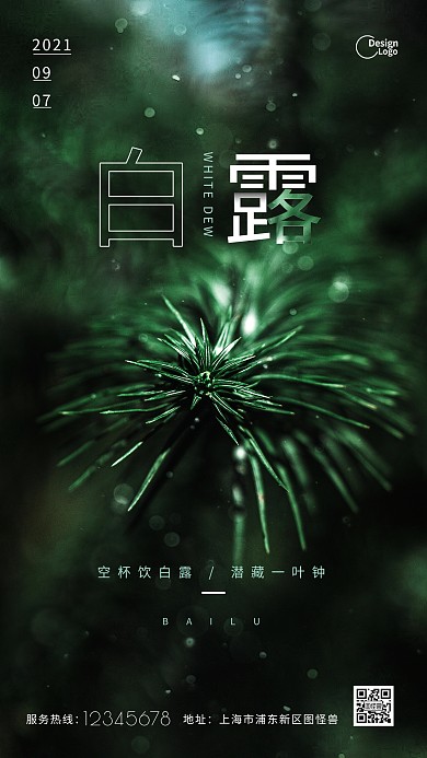 白露节气叶子绿色质感摄影图海报