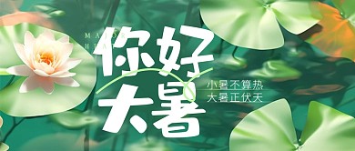 大暑传统节气手绘公众号封面