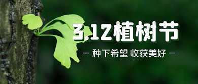 植树节节日春天简约公众号封面首图