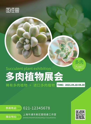 植物展会多肉植物绿色简约竖版海报