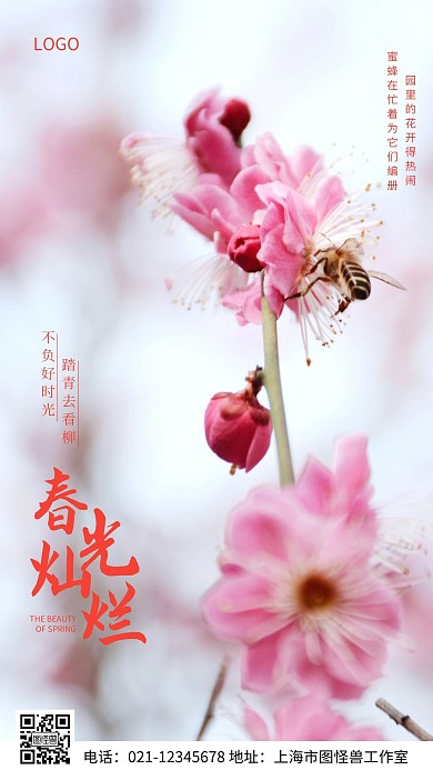 春季踏青唯美粉色摄影图手机海报