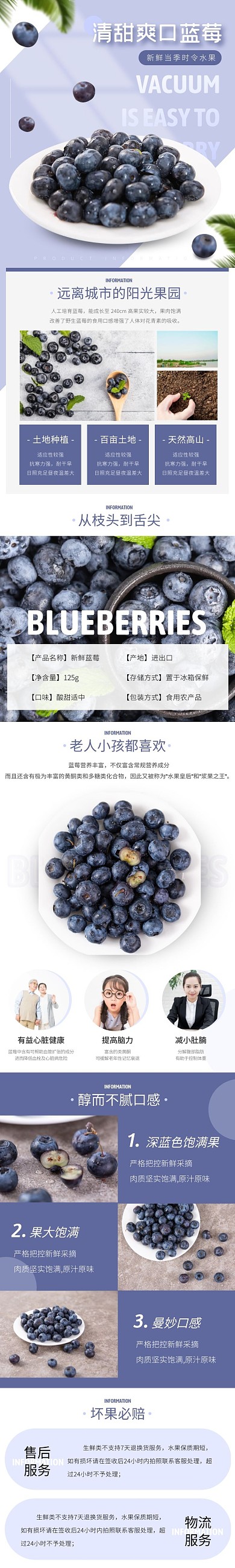 蓝莓水果简约几何蓝色食品详情页