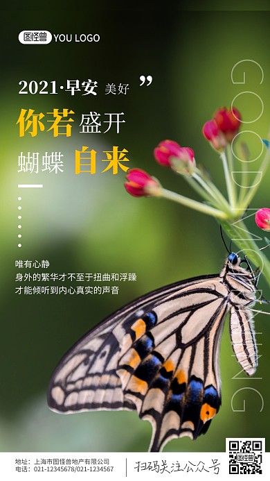 每日一签早安美好你若盛开蝴蝶自来鸡汤日签