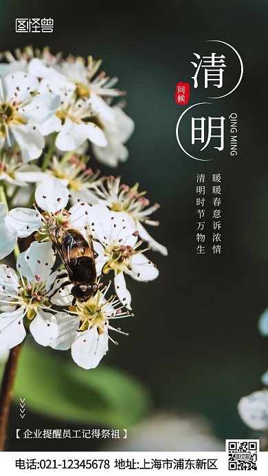 清明企业问候摄影图手机海报