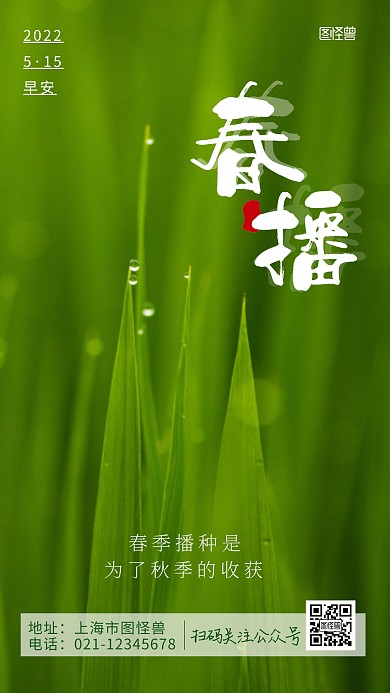 早安春播绿色宣传简约谷物摄影图海报