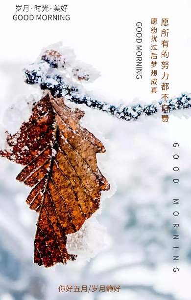 早安五月你好五月简约文艺手机海报