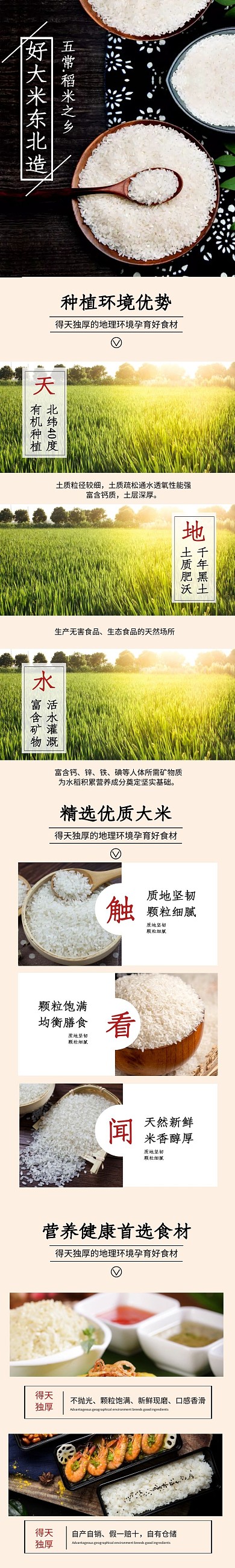 电商五谷粮食大米简约首页美食详情页