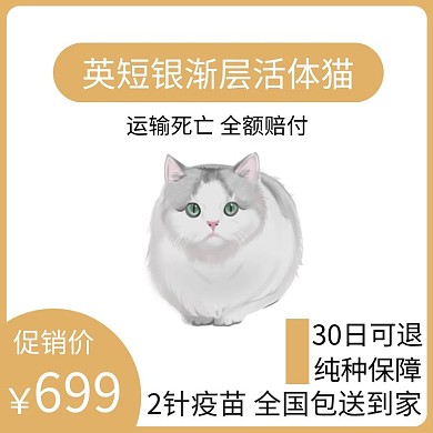 宠物猫橙色简约时尚主图直通车