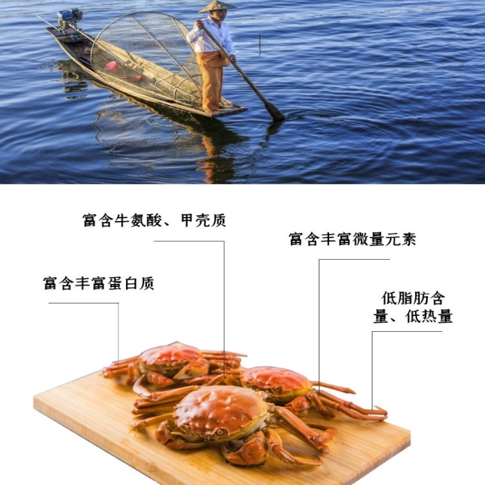大闸蟹海鲜淘宝黄红详情页
