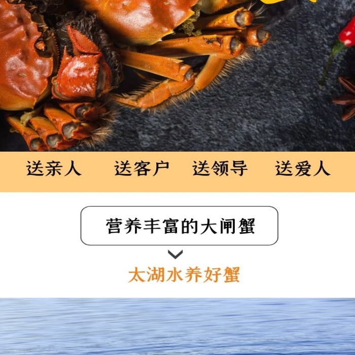 大闸蟹海鲜淘宝黄红详情页