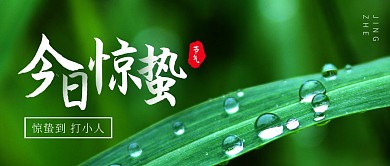 绿色创意今日惊蛰节气公众号封面