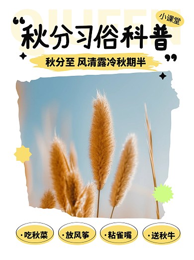秋分习俗科普小红书封面