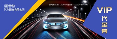 汽车服务有限公司紫色VIP代金券