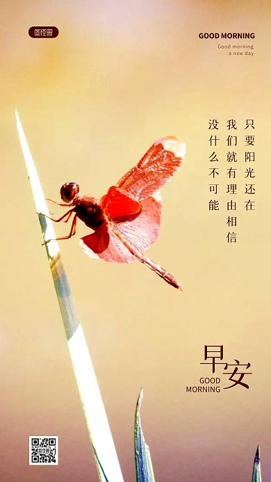 早安励志微距简约风摄影图手机海报