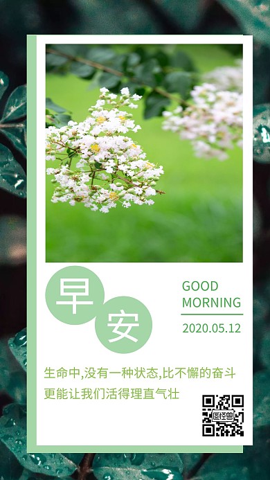 日签早安花束