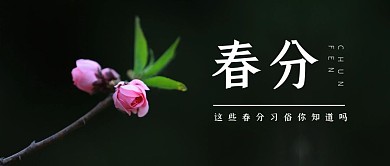简约创意春分节气习俗公众号封面
