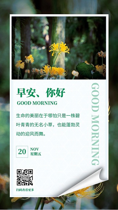 早安励志语录每日一签绿色小草花