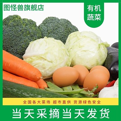 绿色有机蔬菜淘宝蔬菜节绿白黄清新直通车