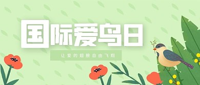 简约国际爱鸟日公众号首图