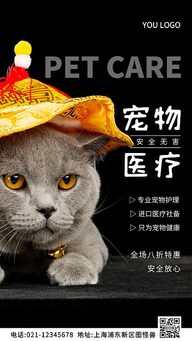 宠物医疗白色简约风摄影图海报