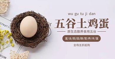 五谷鸡蛋促销简约清新褐色banner