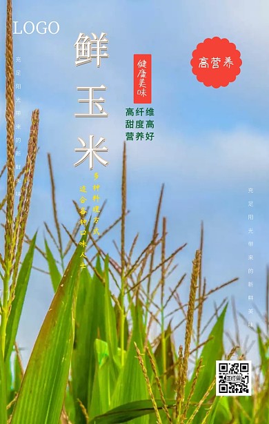 玉米