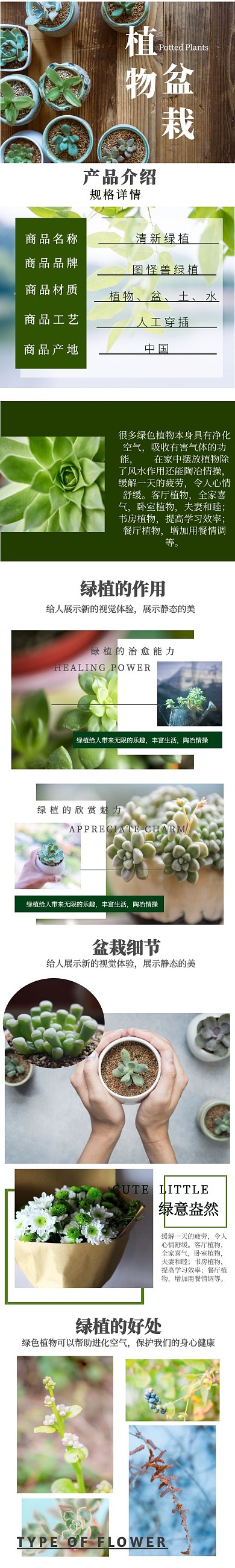 植物绿植简约小清新绿色淘宝详情页
