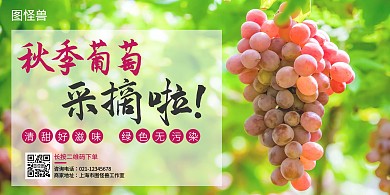 秋季葡萄采摘简约横版海报