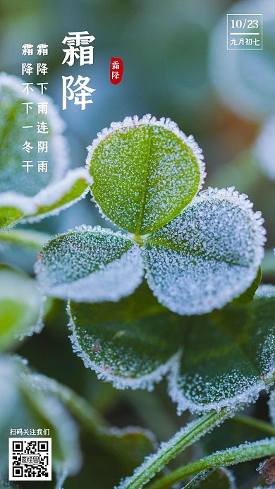 早安十月霜降简约绿色女孩日签海报