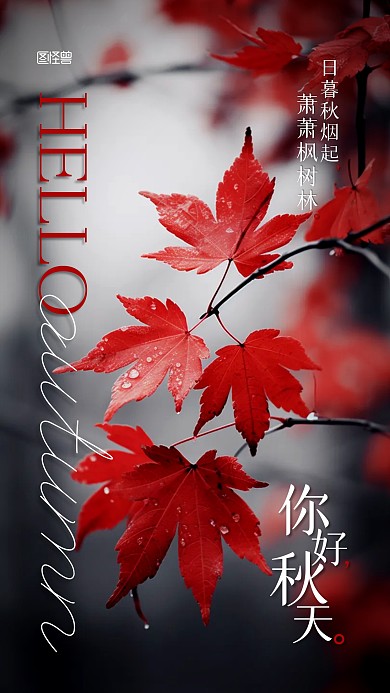 你好秋天摄影图枫叶AIGC手机海报