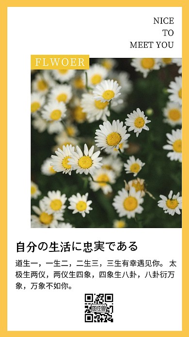 小雏菊花朵可爱简约日系文艺每日一签