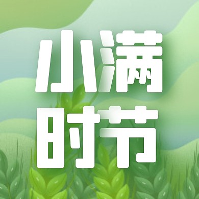 小满时节二十四节气宣传简约公众号次图