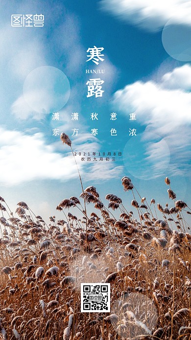 寒露节气温馨祝福简约风摄影图海报