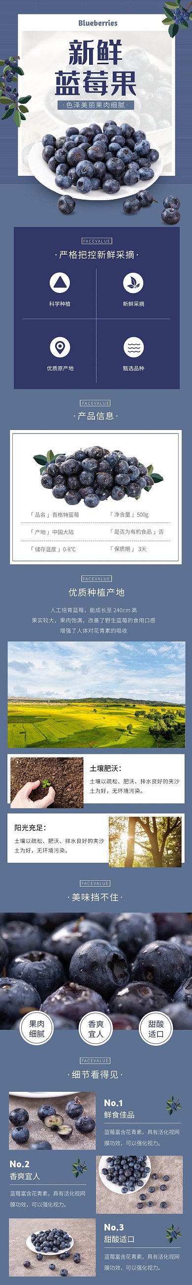 蓝莓清新简约蓝色水果食品详情页