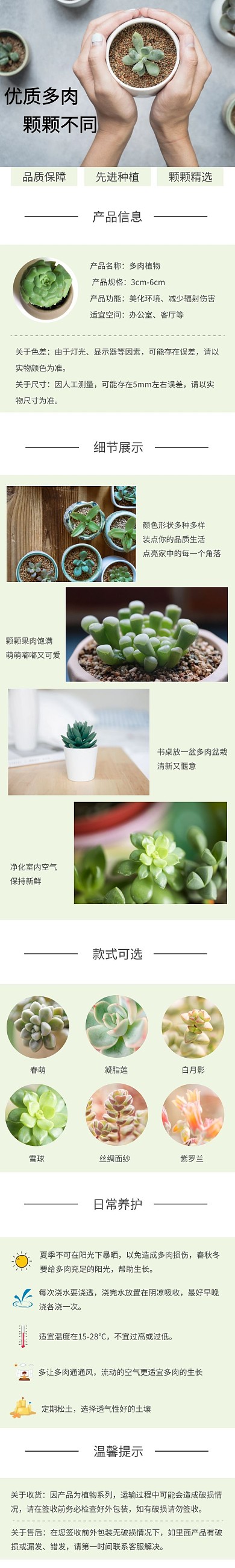简约绿色多肉植物详情页模板