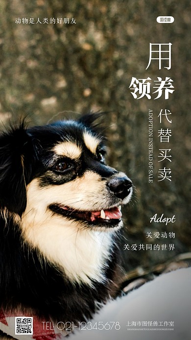 简约风宠物领养宣传摄影图海报