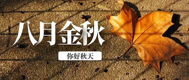八月金秋黄枫叶秋天黄色典雅公众号封面首图