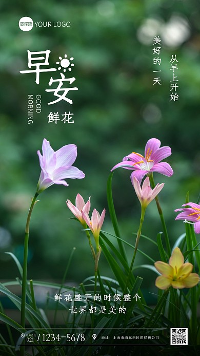 早安世界鲜花纯色大气手机摄影图海报