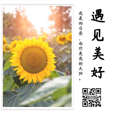 遇见美好公众号正方形配图