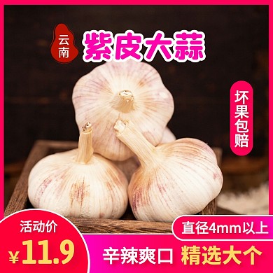 云南紫皮大蒜独头蒜现挖大蒜主图直通车