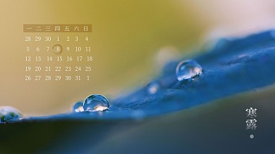 寒露节气十月日历摄影风电脑桌面